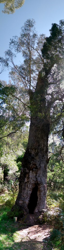 PANO_20141005_120454